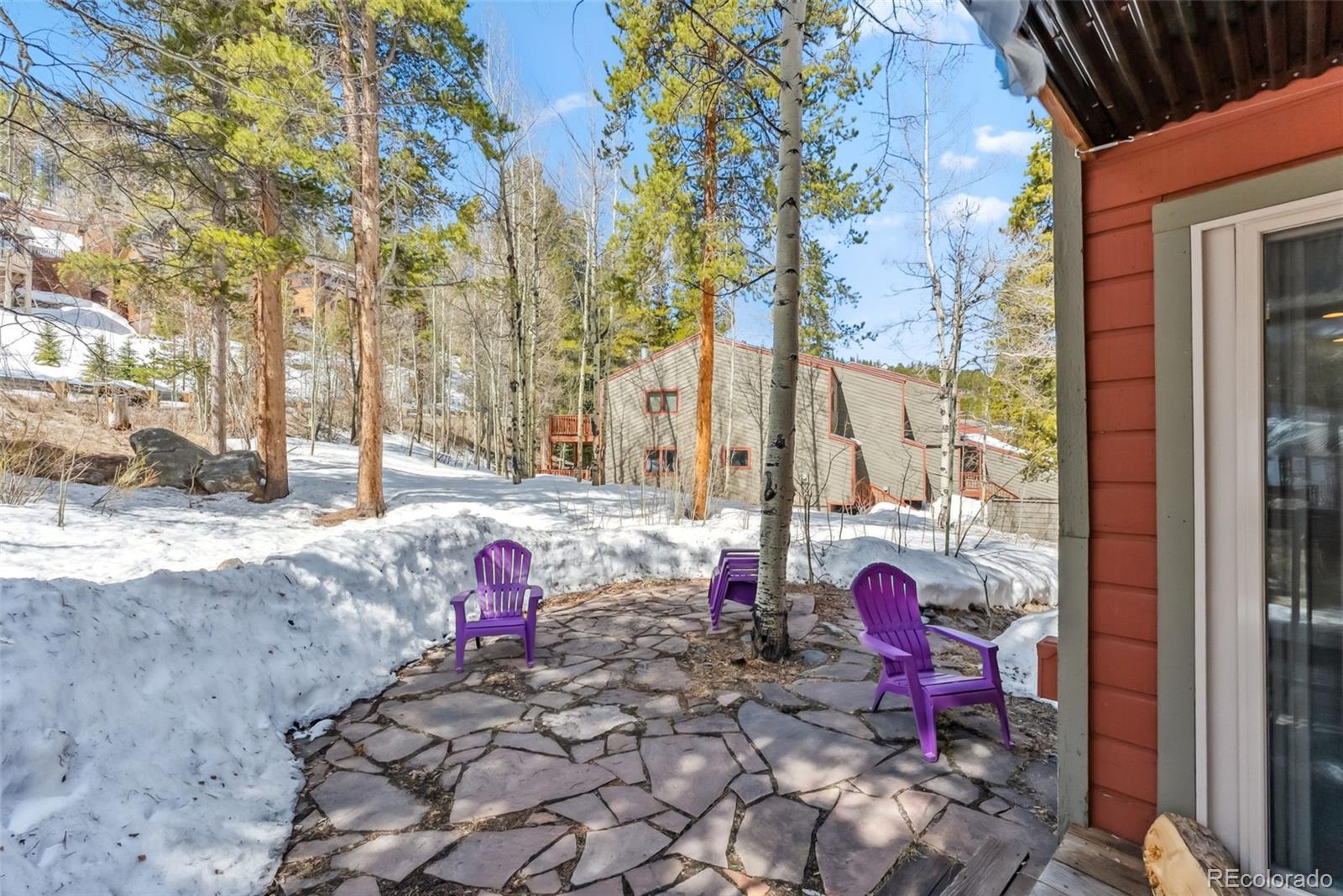 MLS Image #28 for 876  broken lance drive,breckenridge, Colorado