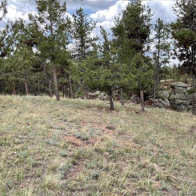 MLS Image #10 for 696  calle de la nieva ,florissant, Colorado