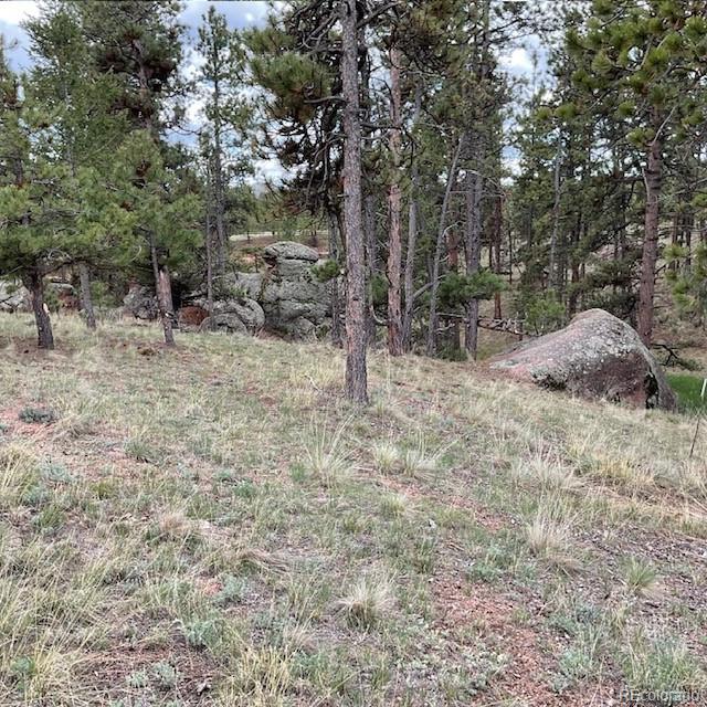 MLS Image #13 for 696  calle de la nieva ,florissant, Colorado