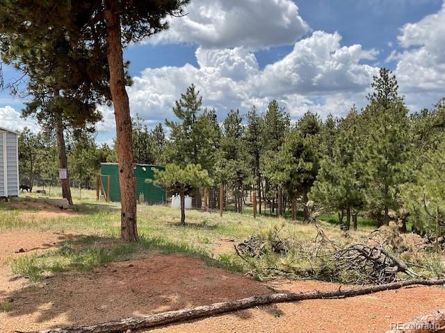 MLS Image #2 for 696  calle de la nieva ,florissant, Colorado