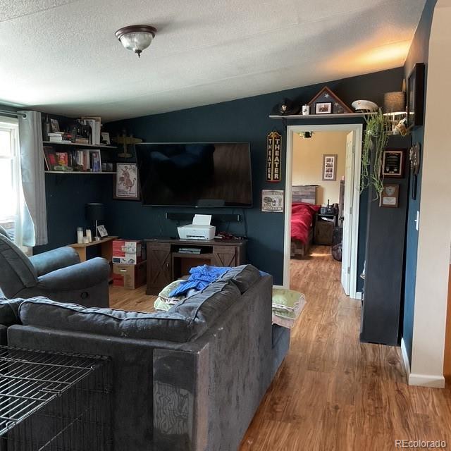 MLS Image #24 for 696  calle de la nieva ,florissant, Colorado