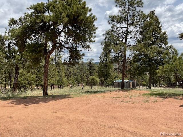 MLS Image #3 for 696  calle de la nieva ,florissant, Colorado