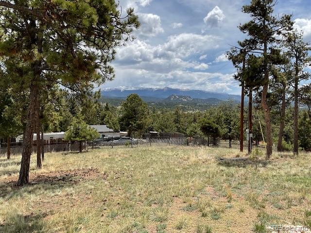 MLS Image #5 for 696  calle de la nieva ,florissant, Colorado