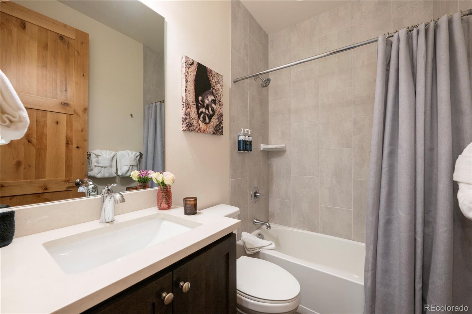 MLS Image #14 for 288  lions gate drive,winter park, Colorado