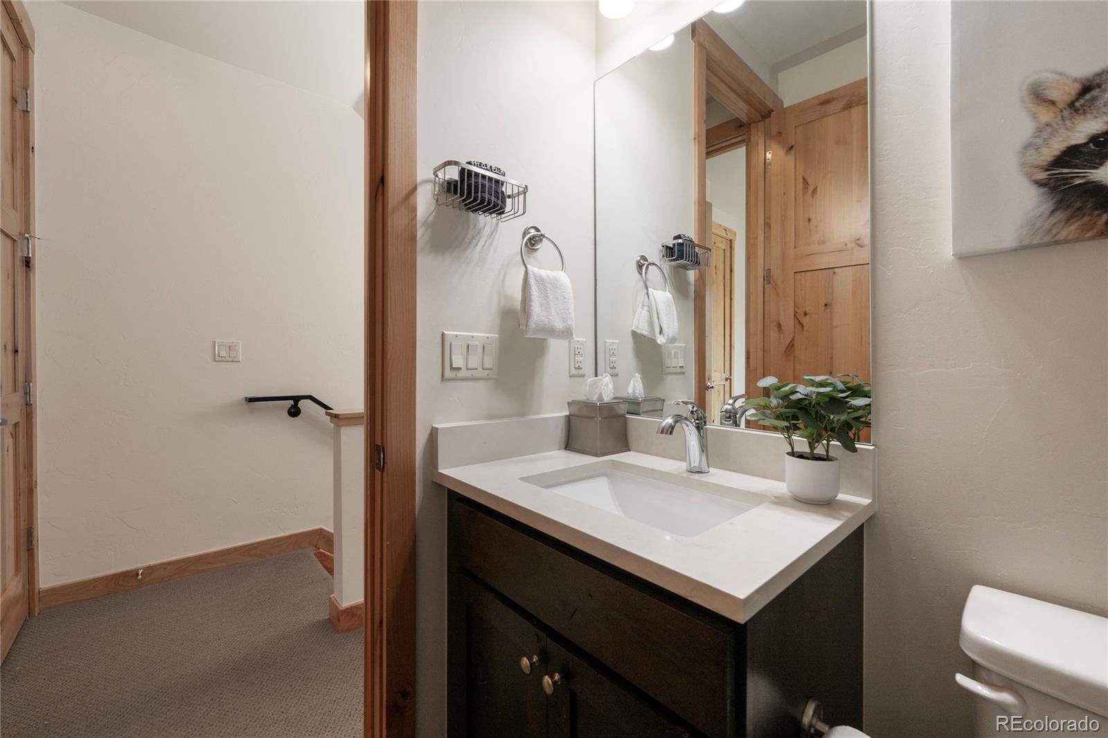 MLS Image #19 for 288  lions gate drive,winter park, Colorado