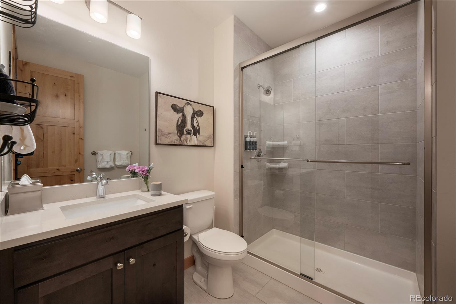 MLS Image #24 for 288  lions gate drive,winter park, Colorado