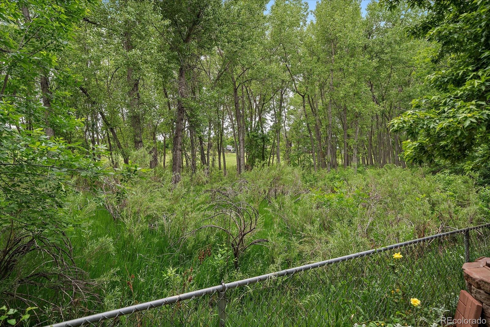 MLS Image #31 for 116  monarch street,louisville, Colorado
