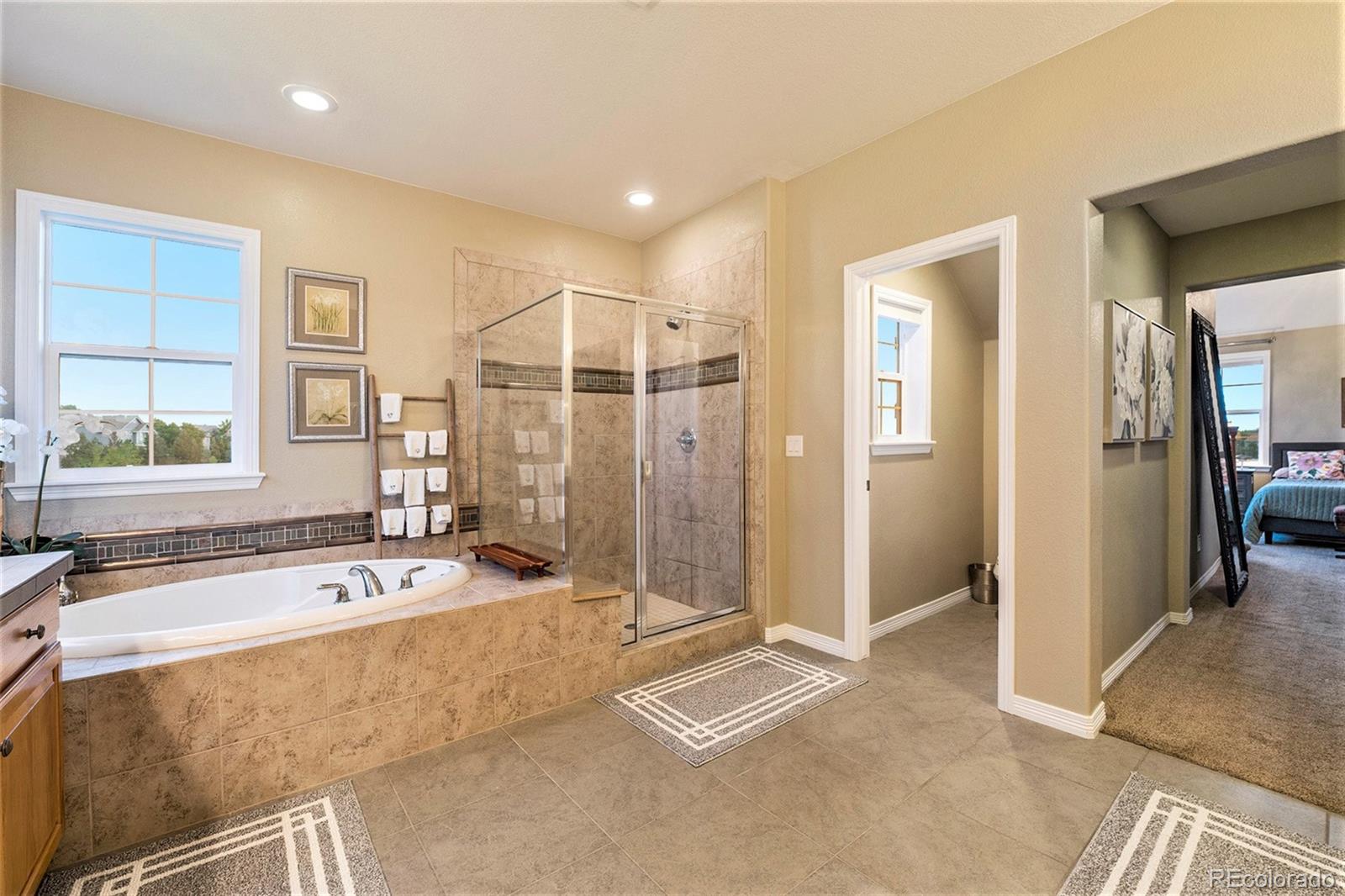 MLS Image #21 for 10705  pinewalk way,highlands ranch, Colorado