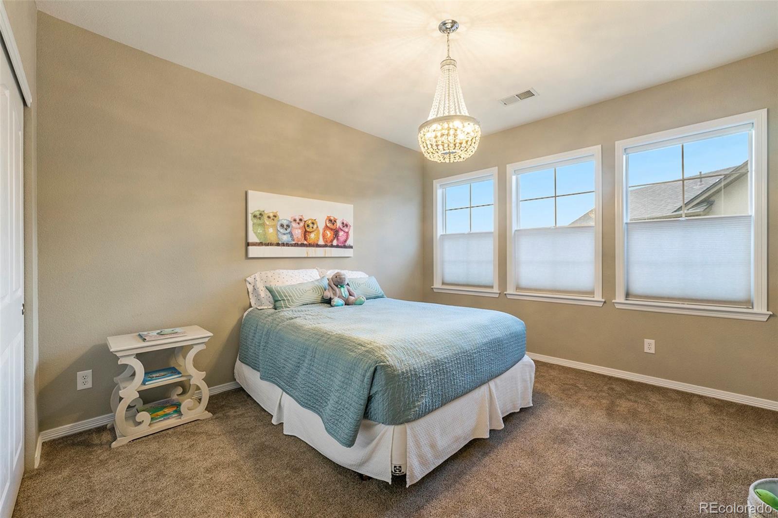MLS Image #25 for 10705  pinewalk way,highlands ranch, Colorado