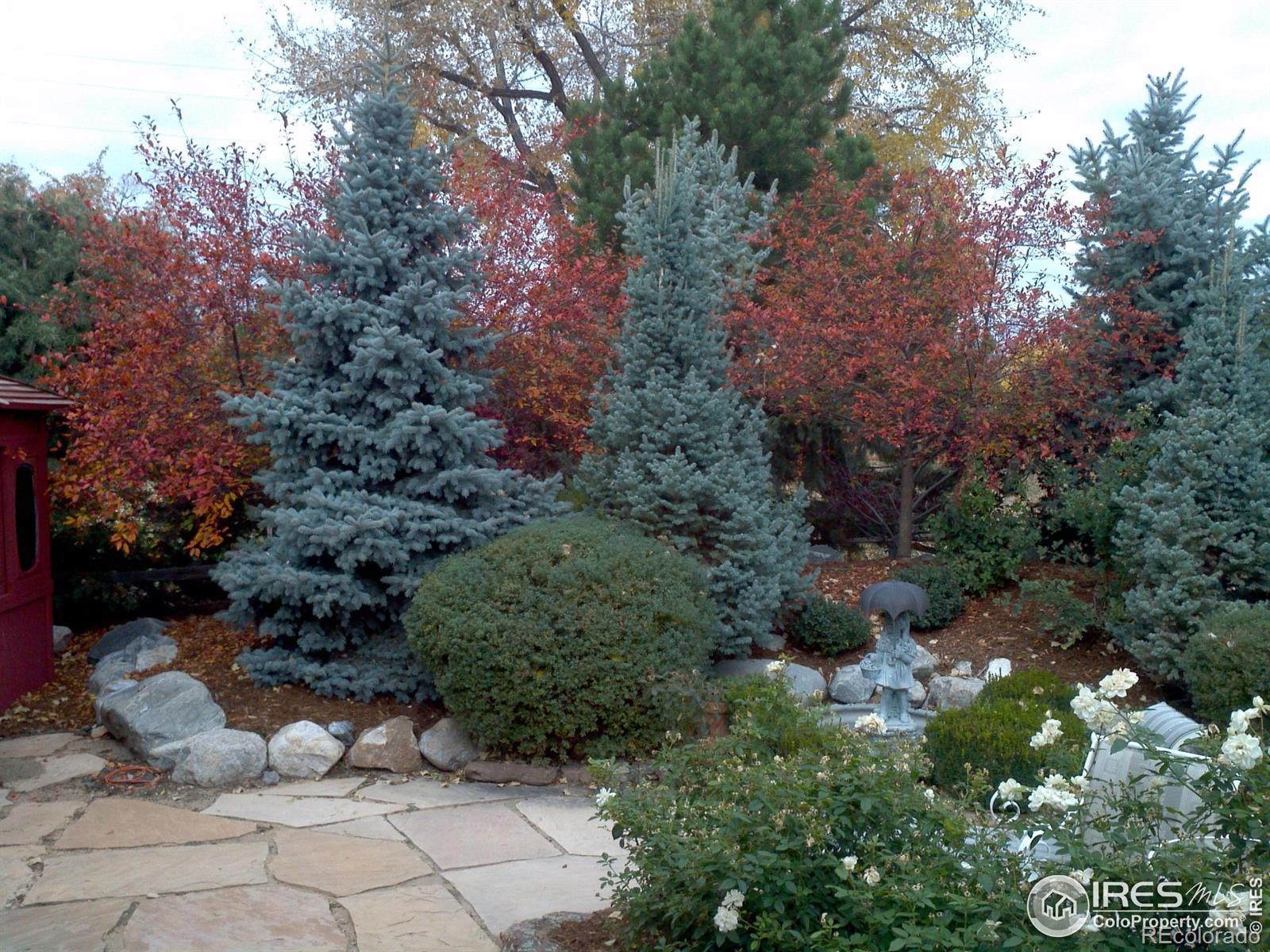 MLS Image #2 for 2549  cowley drive,lafayette, Colorado