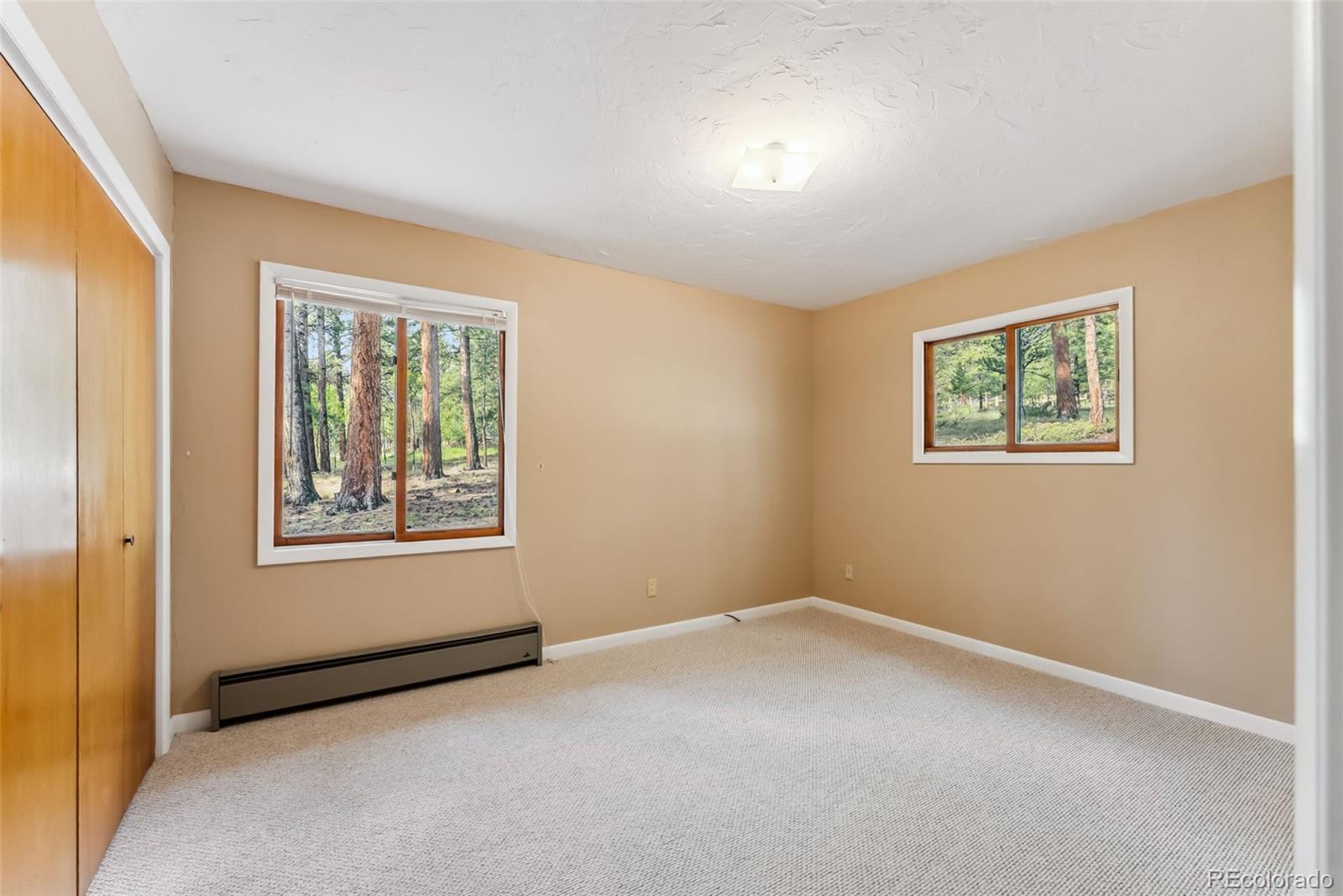 MLS Image #25 for 33455  wapiti circle,buena vista, Colorado