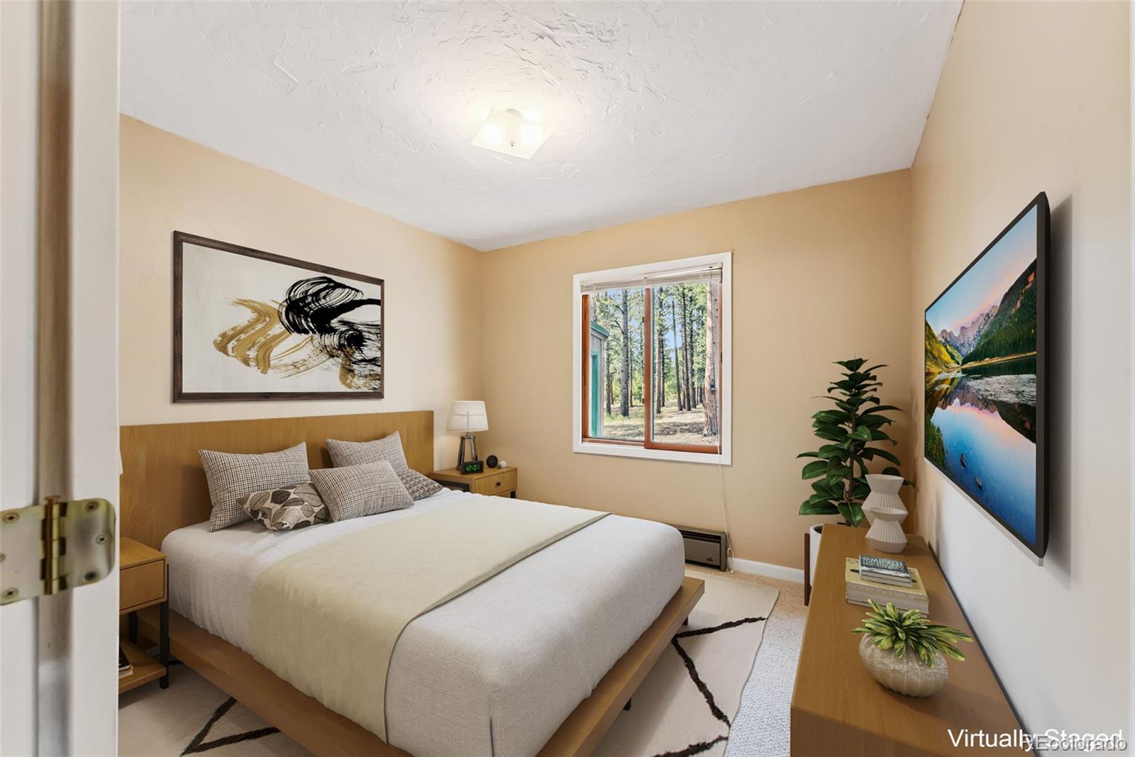 MLS Image #27 for 33455  wapiti circle,buena vista, Colorado
