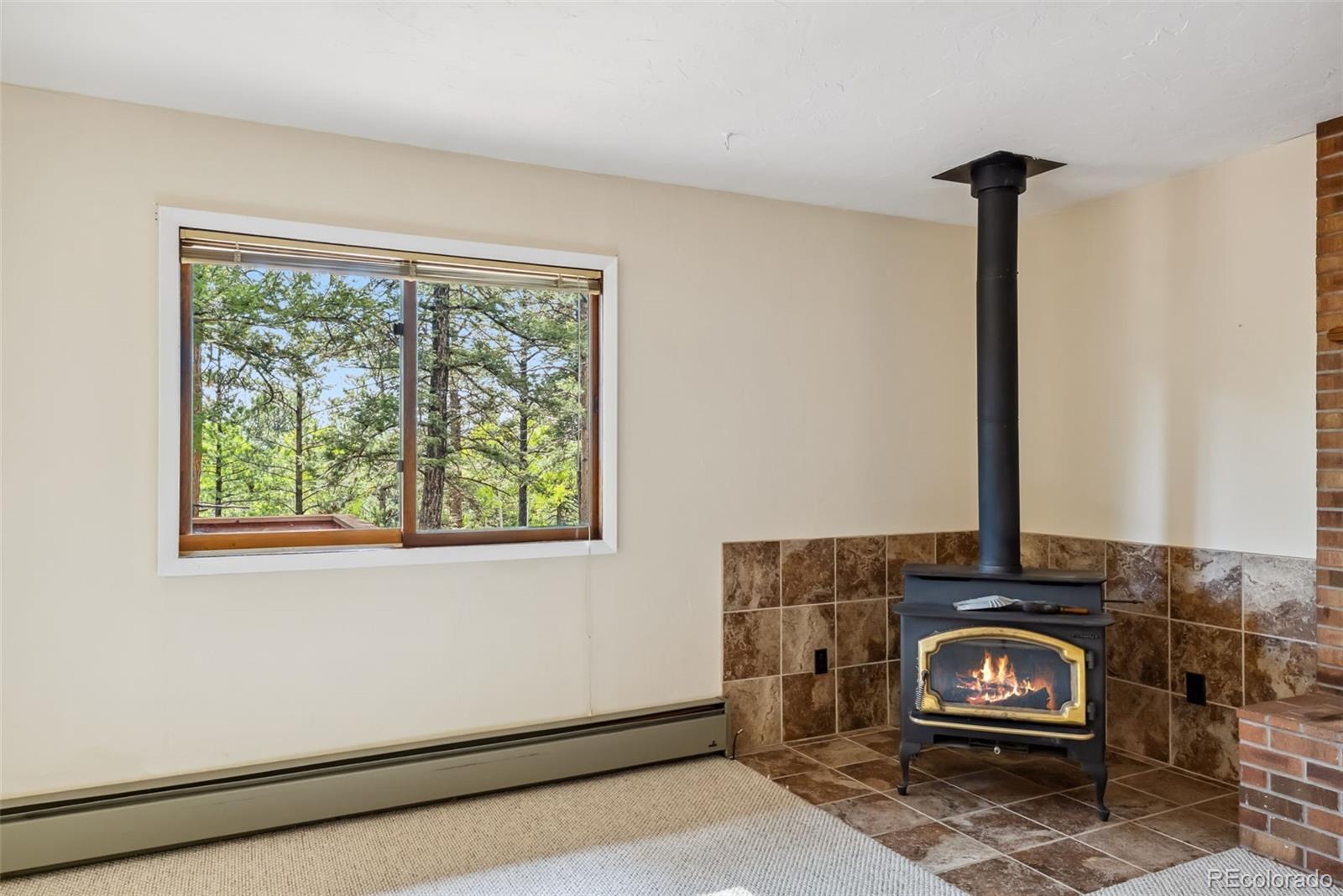 MLS Image #6 for 33455  wapiti circle,buena vista, Colorado