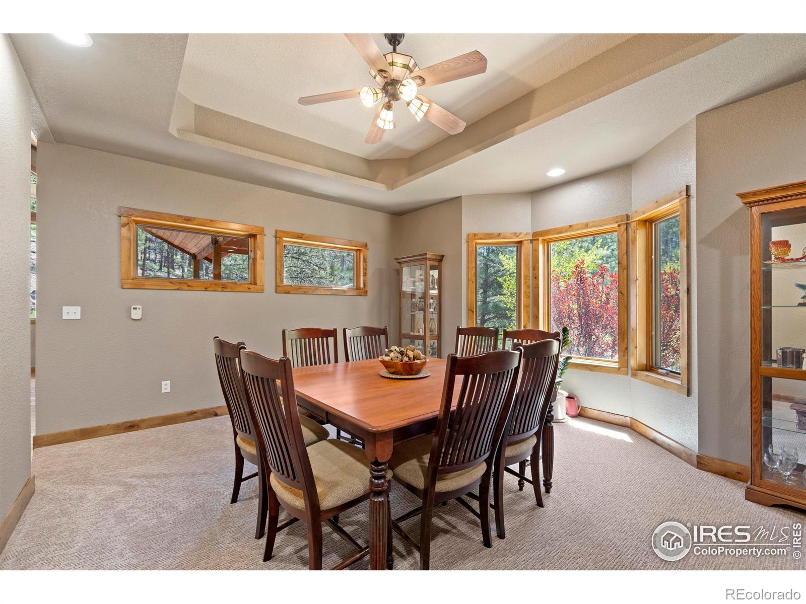 MLS Image #10 for 952  skinner gulch road,loveland, Colorado