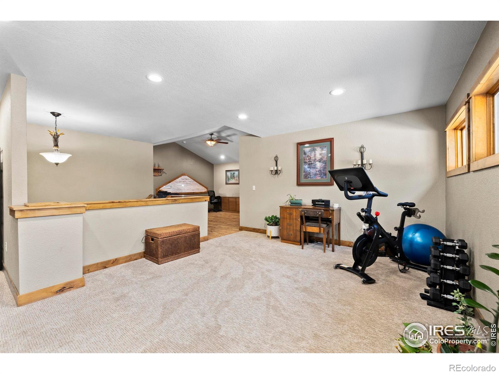 MLS Image #20 for 952  skinner gulch road,loveland, Colorado