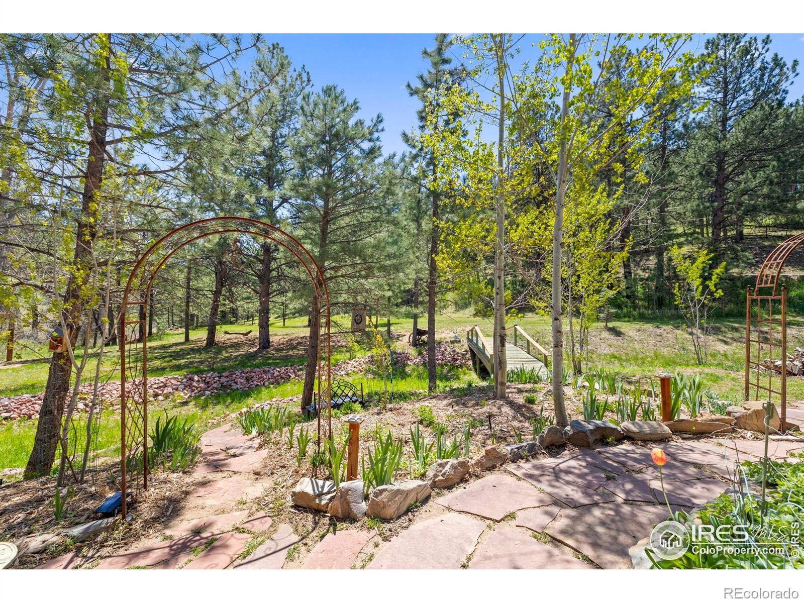 MLS Image #36 for 952  skinner gulch road,loveland, Colorado