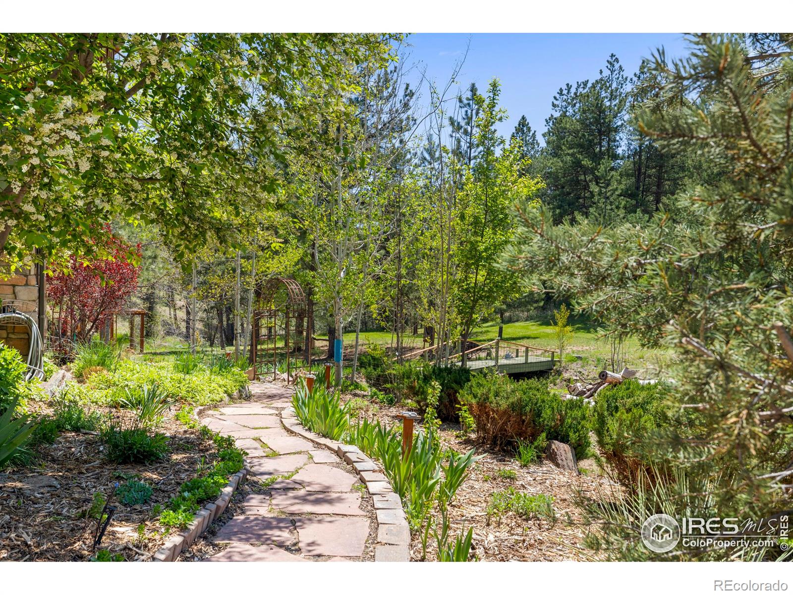 MLS Image #37 for 952  skinner gulch road,loveland, Colorado