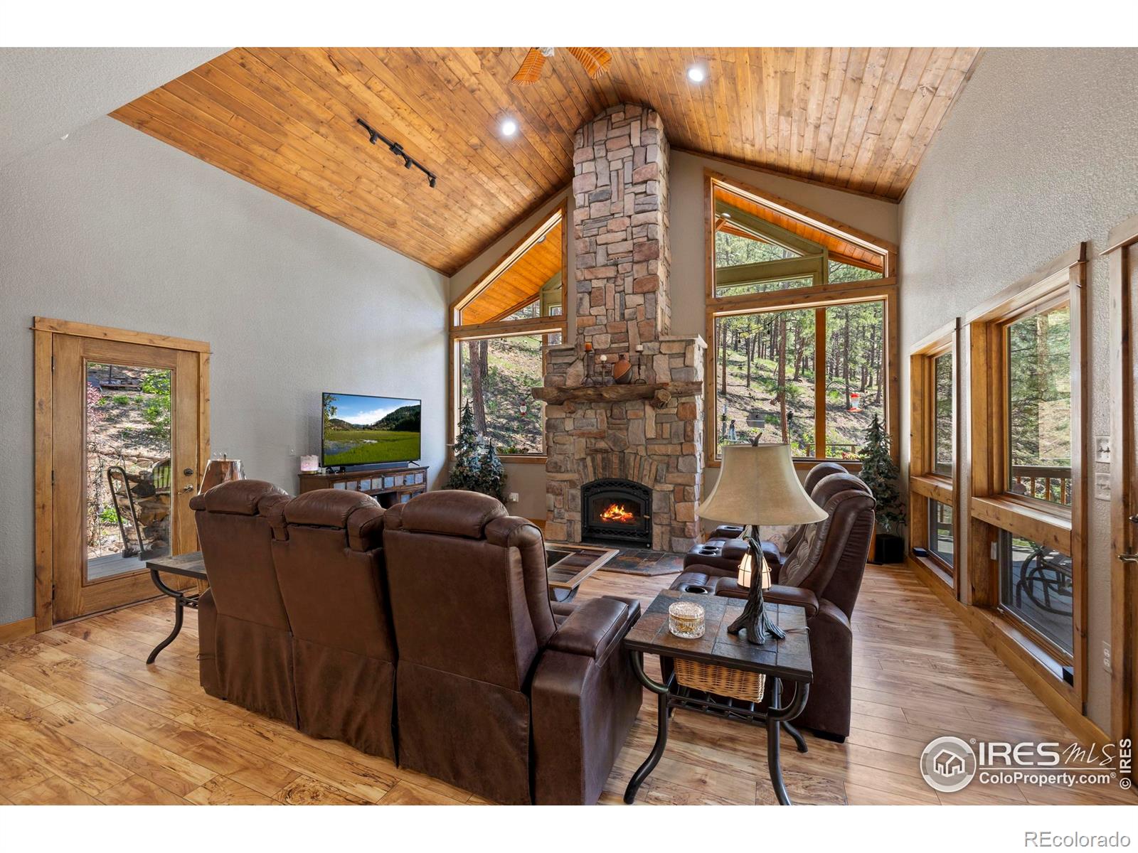 MLS Image #7 for 952  skinner gulch road,loveland, Colorado