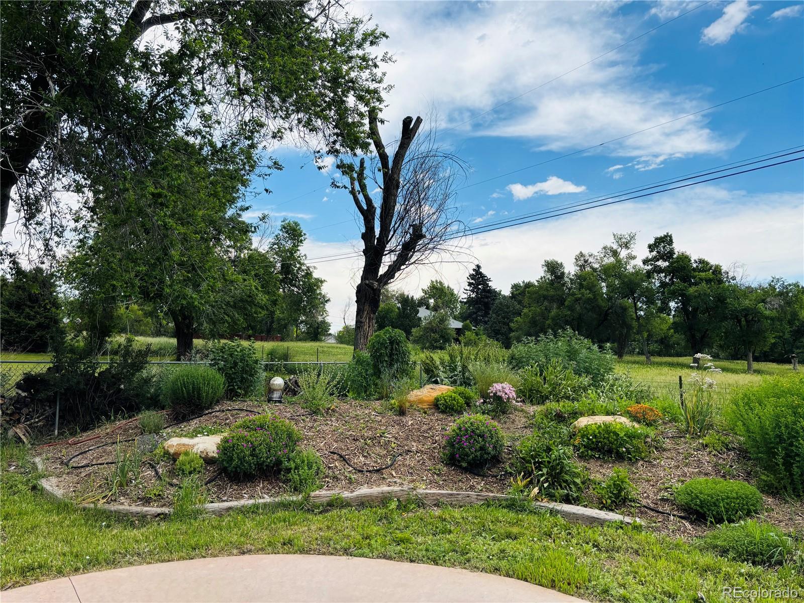 MLS Image #12 for 8211  rocky mountain drive,lakewood, Colorado
