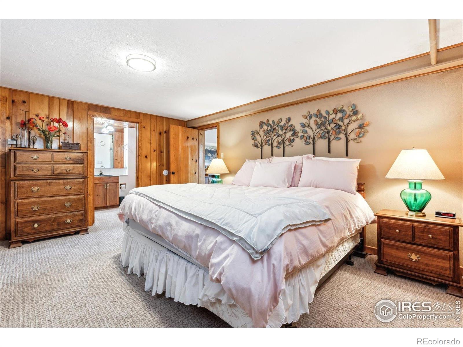 MLS Image #23 for 640  pinewood lane,estes park, Colorado