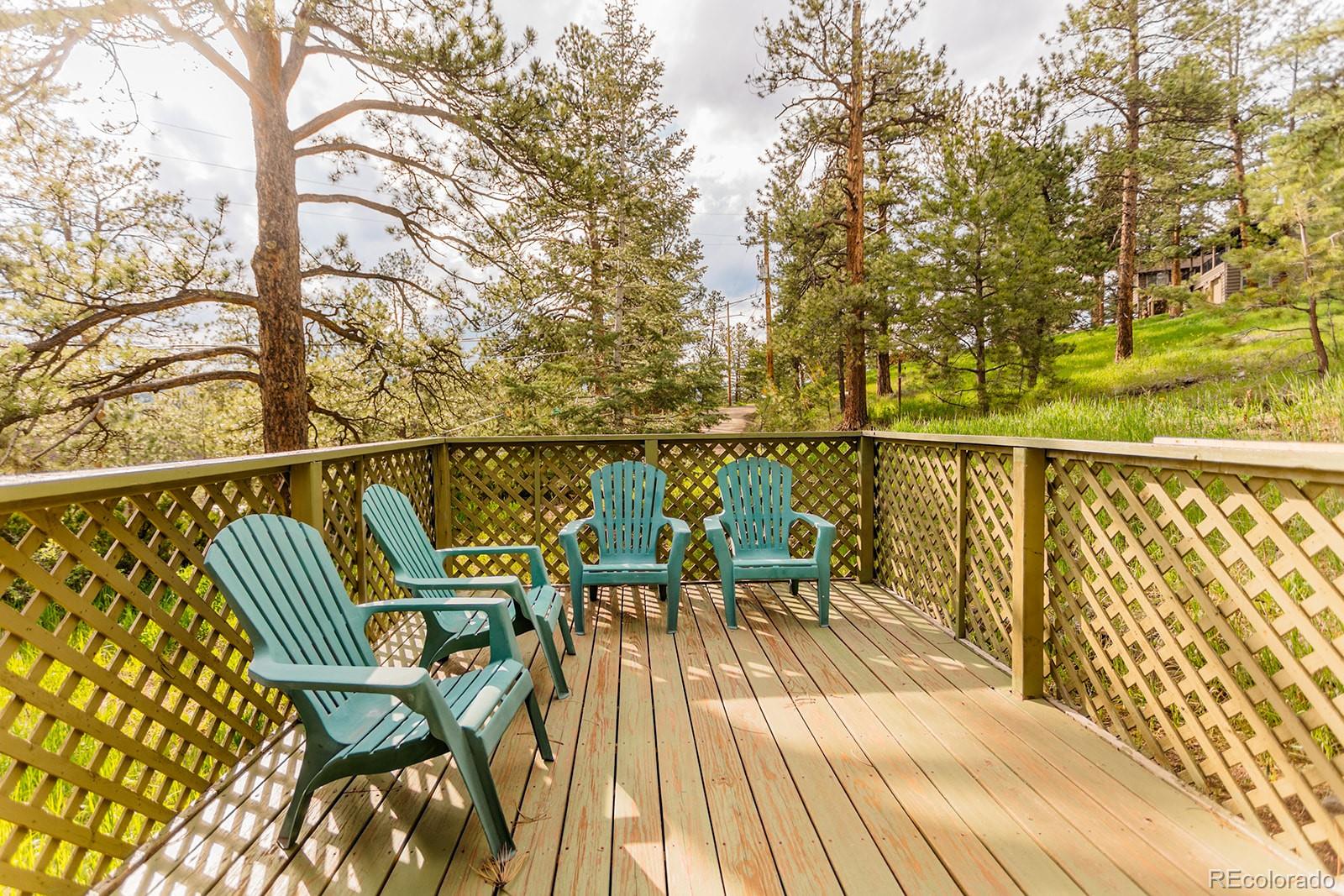 MLS Image #18 for 4850  forest hill road,evergreen, Colorado
