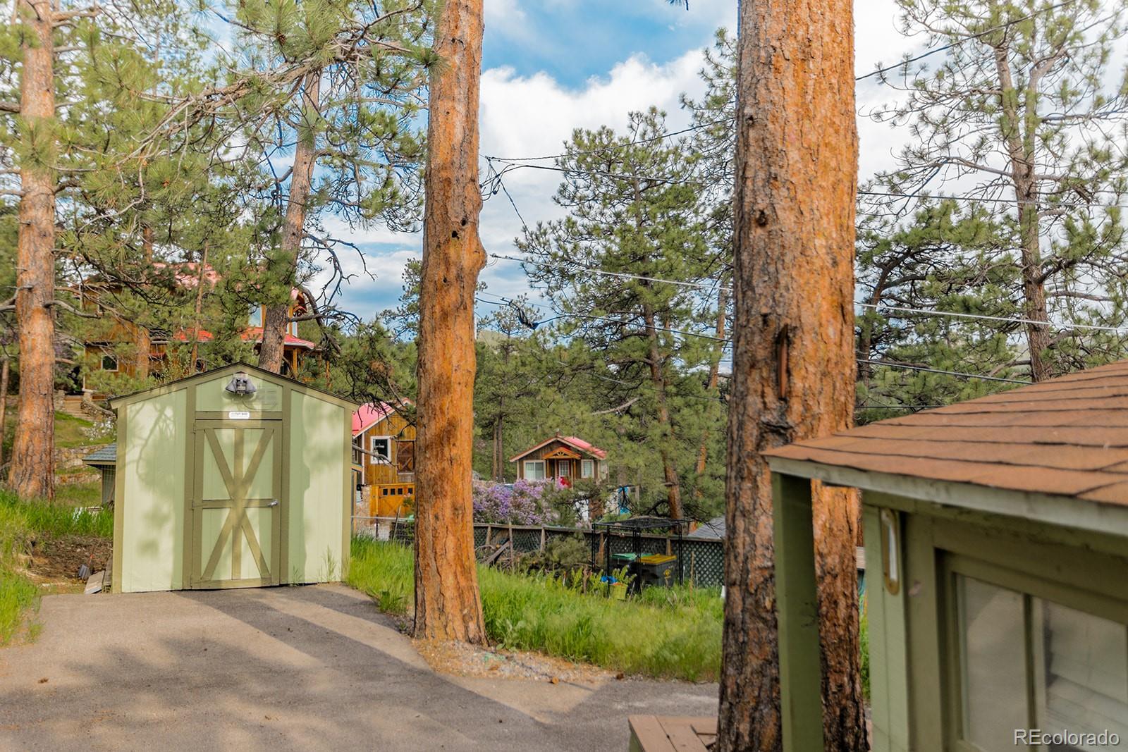 MLS Image #21 for 4850  forest hill road,evergreen, Colorado