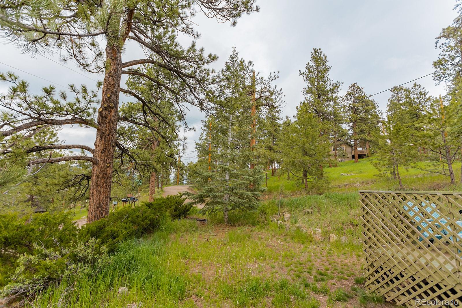 MLS Image #25 for 4850  forest hill road,evergreen, Colorado