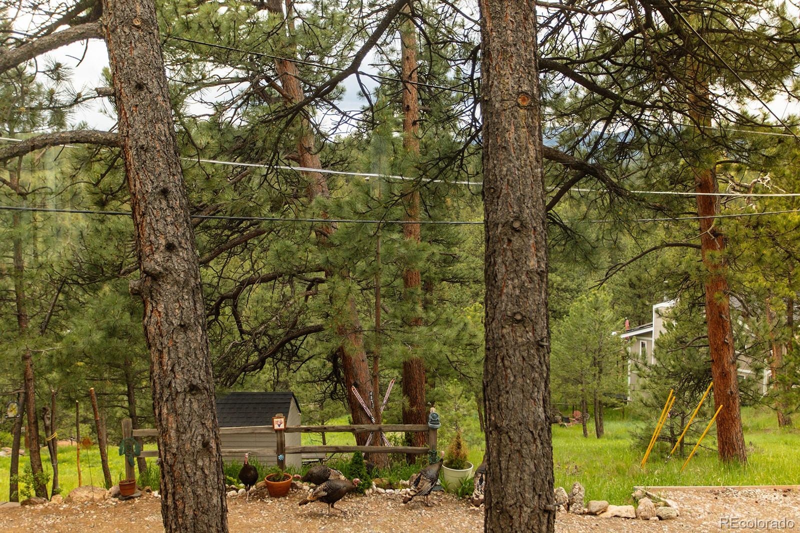 MLS Image #26 for 4850  forest hill road,evergreen, Colorado