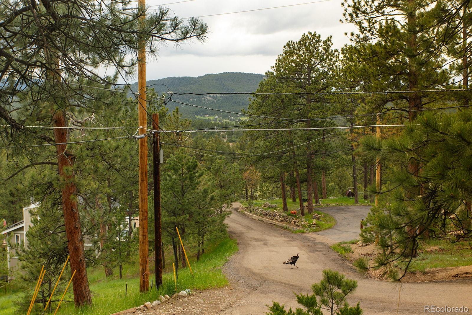 MLS Image #27 for 4850  forest hill road,evergreen, Colorado