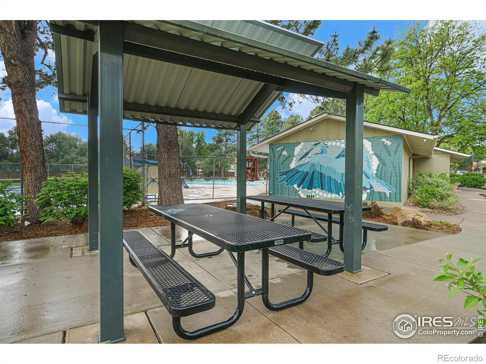 MLS Image #27 for 2420  sheffield circle,fort collins, Colorado