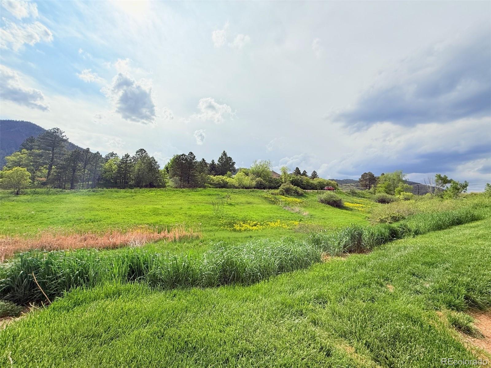 MLS Image #40 for 94  vale street,palmer lake, Colorado