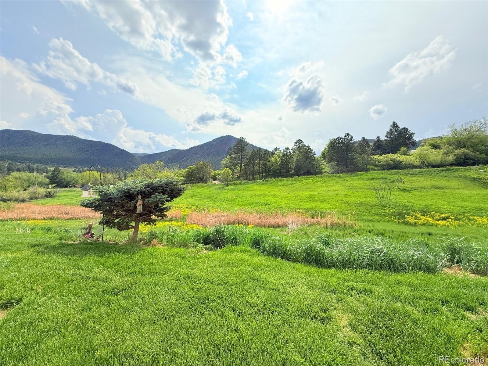 MLS Image #43 for 94  vale street,palmer lake, Colorado