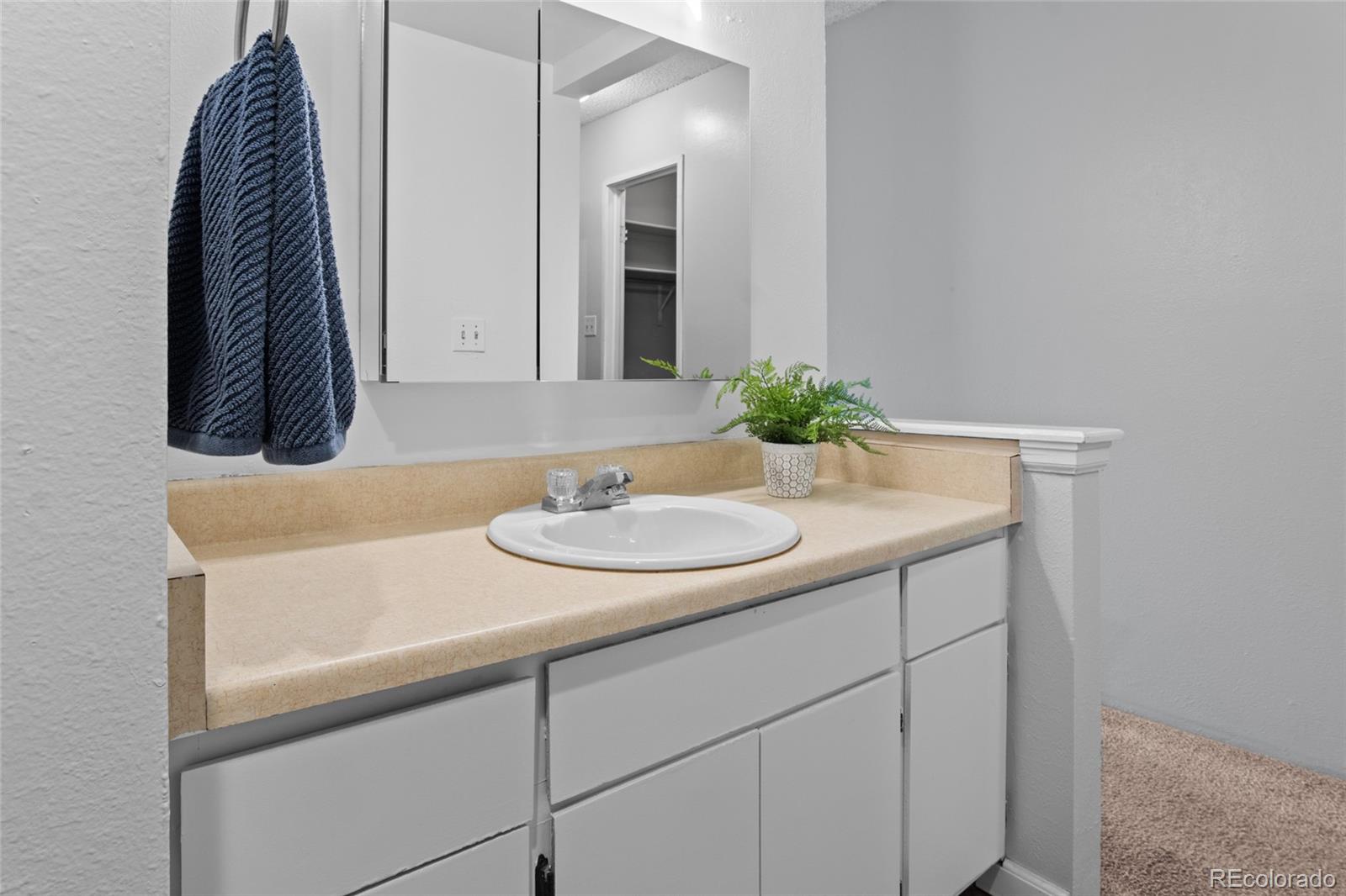 MLS Image #11 for 532  oakwood drive,castle rock, Colorado