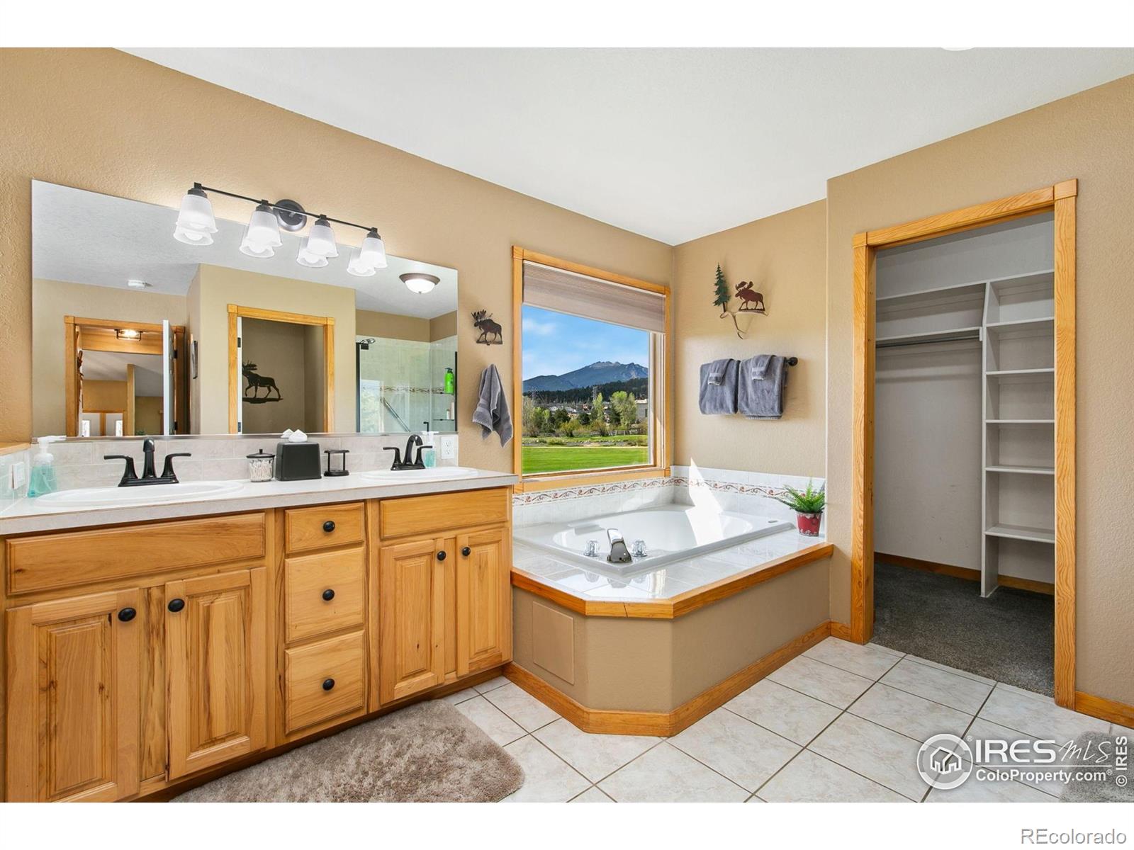 MLS Image #12 for 464  skyline drive,estes park, Colorado