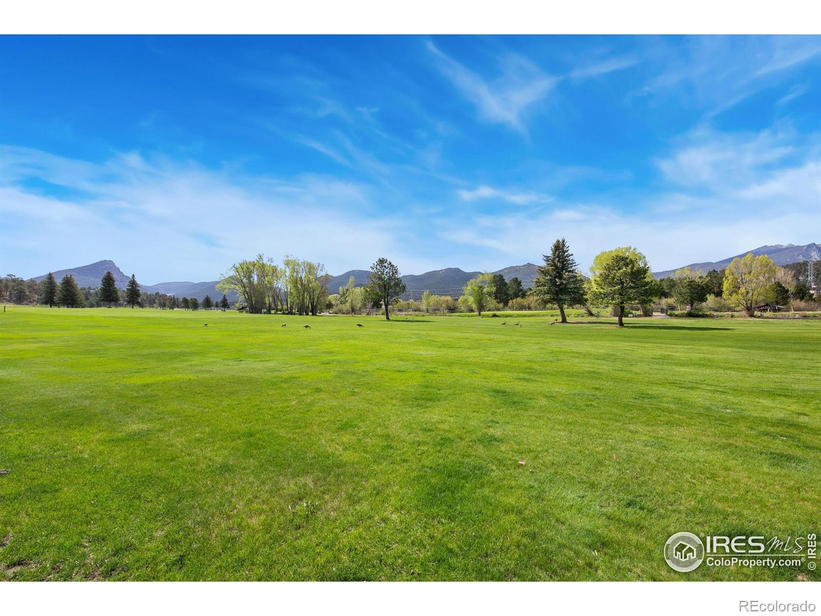 MLS Image #26 for 464  skyline drive,estes park, Colorado