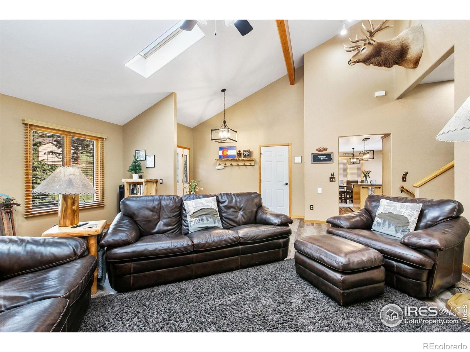 MLS Image #4 for 464  skyline drive,estes park, Colorado