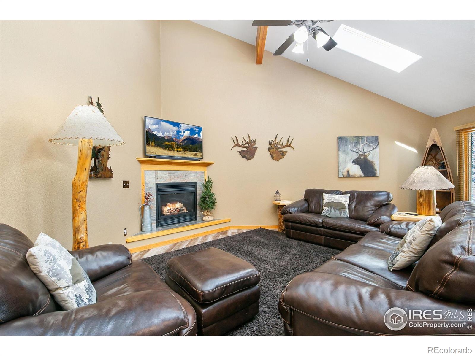 MLS Image #5 for 464  skyline drive,estes park, Colorado