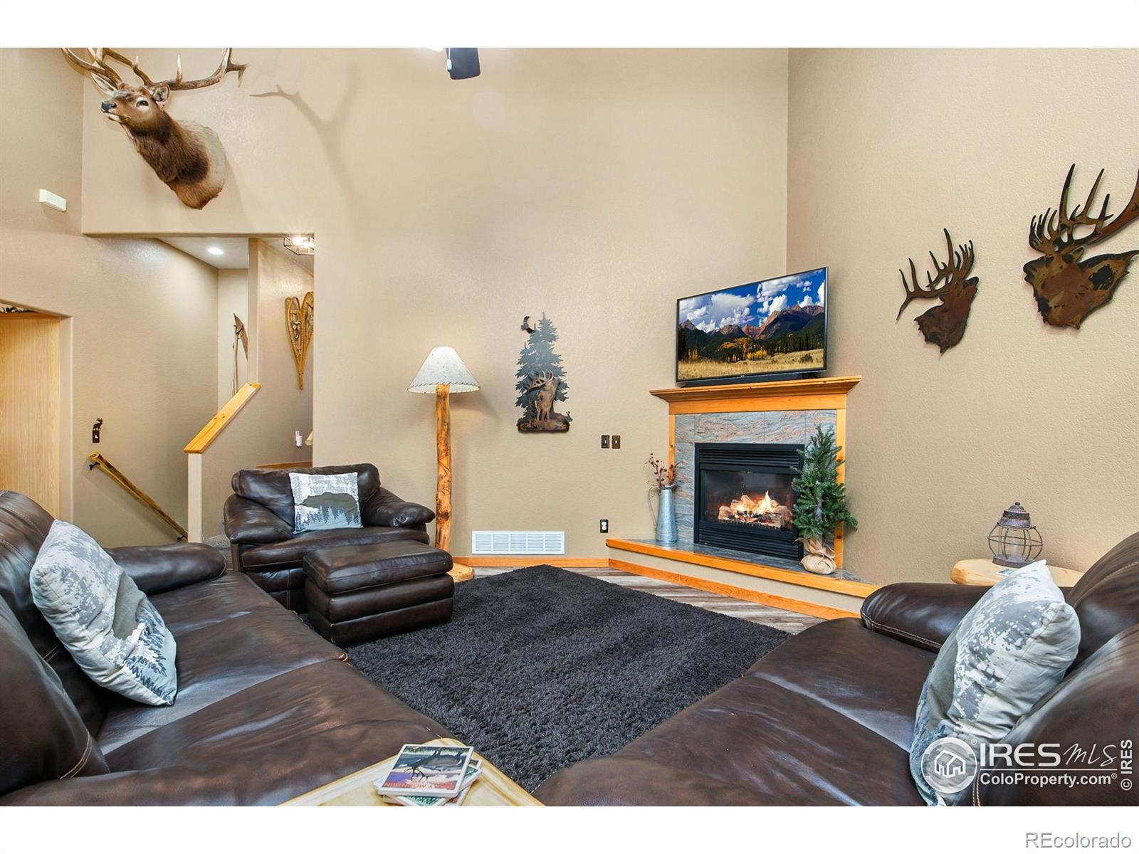 MLS Image #6 for 464  skyline drive,estes park, Colorado