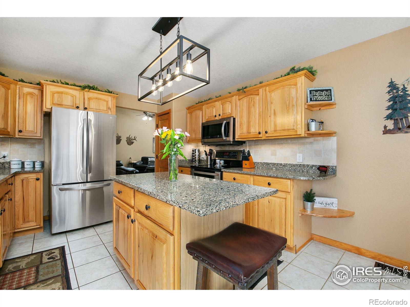 MLS Image #8 for 464  skyline drive,estes park, Colorado