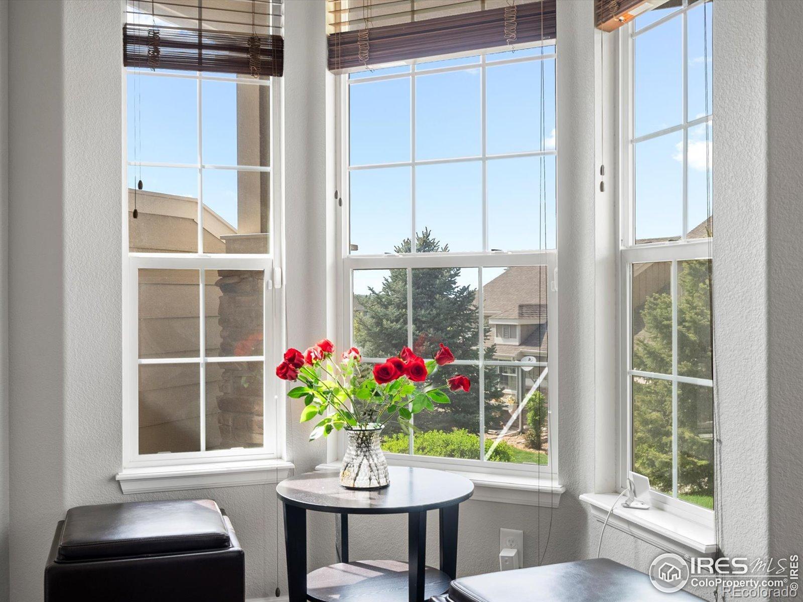 MLS Image #12 for 4795  raven run ,broomfield, Colorado