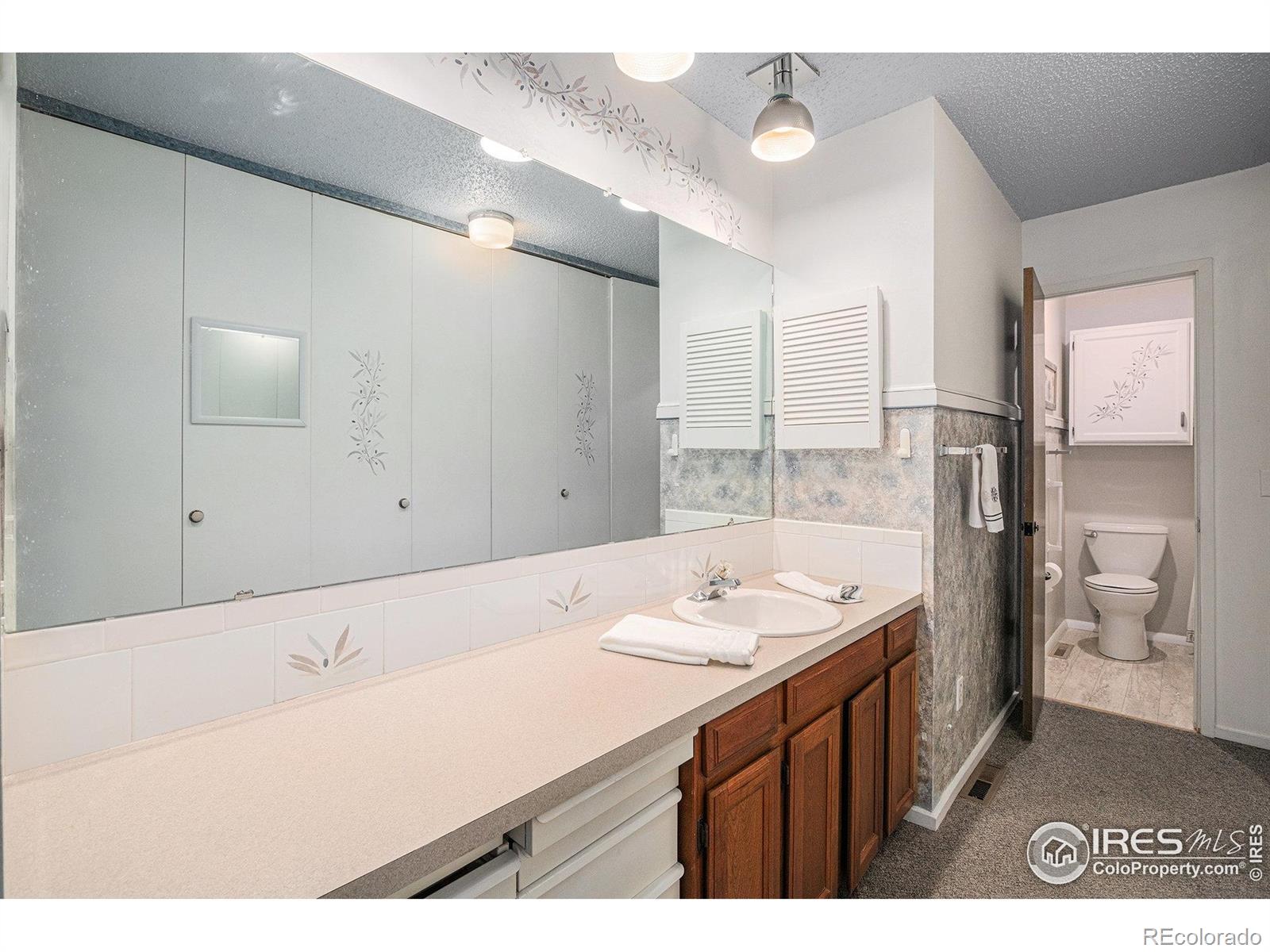 MLS Image #13 for 2409  flora drive,loveland, Colorado