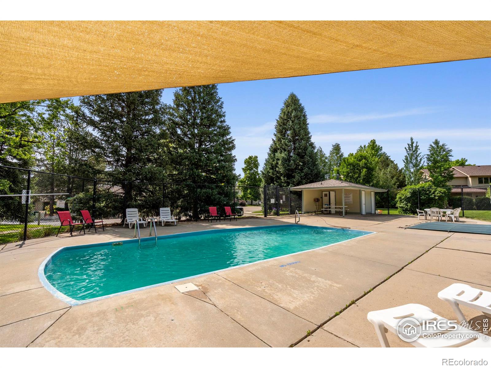 MLS Image #33 for 2409  flora drive,loveland, Colorado