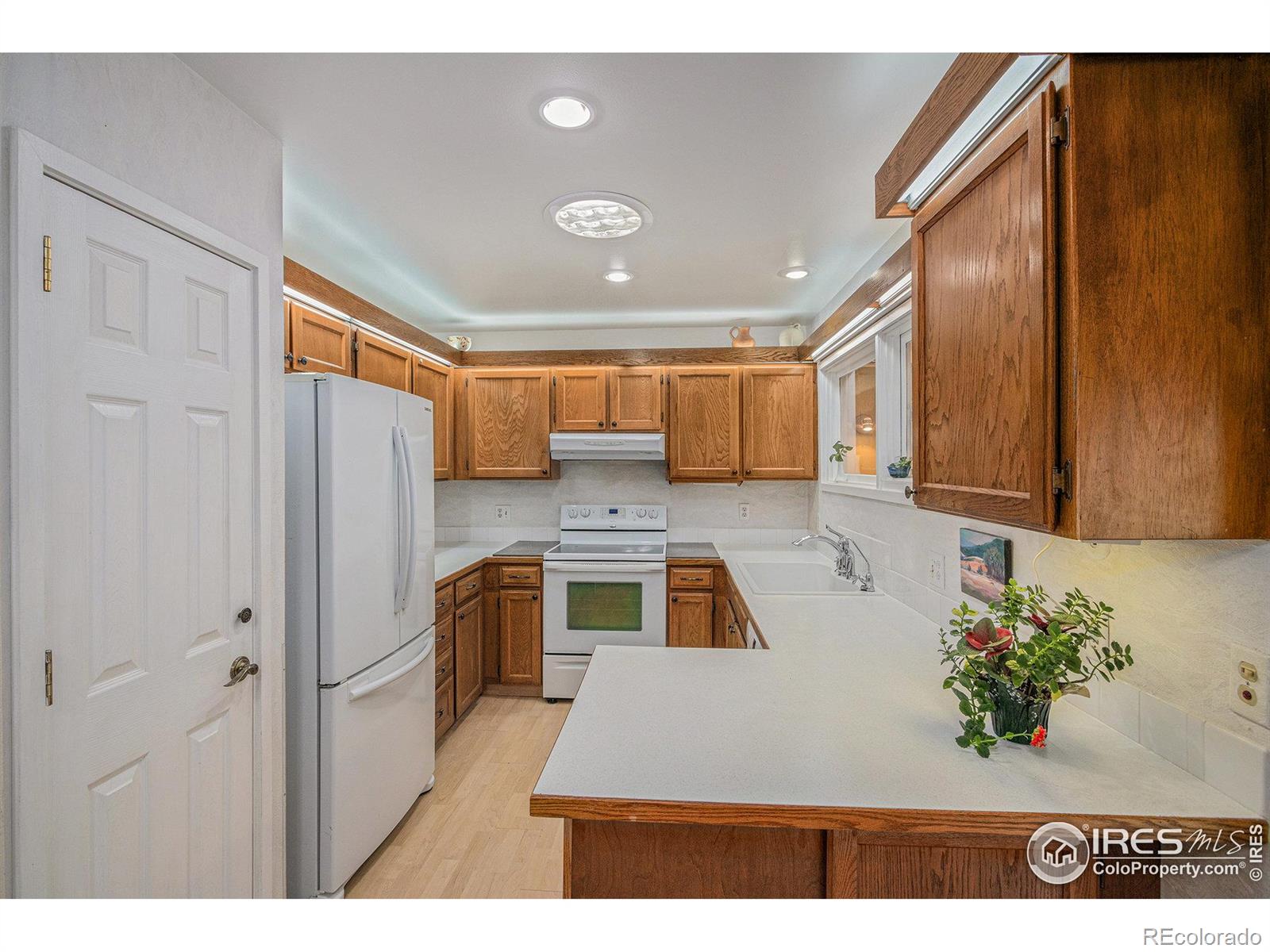 MLS Image #8 for 2409  flora drive,loveland, Colorado