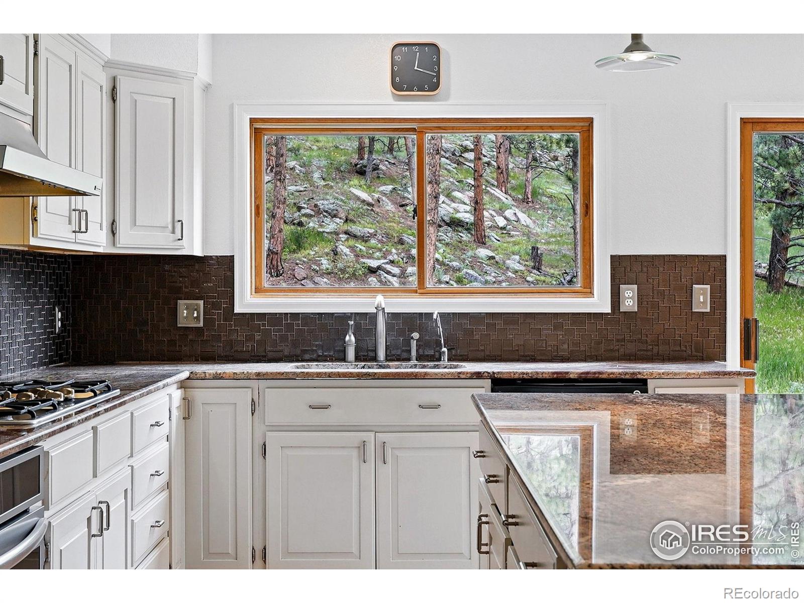 MLS Image #10 for 1946  lefthand canyon drive,boulder, Colorado