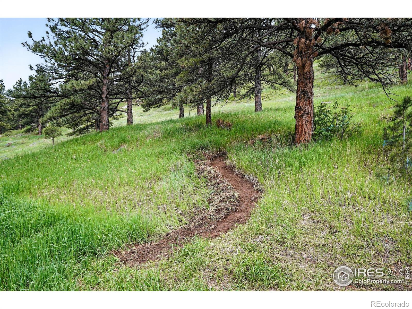 MLS Image #36 for 1946  lefthand canyon drive,boulder, Colorado