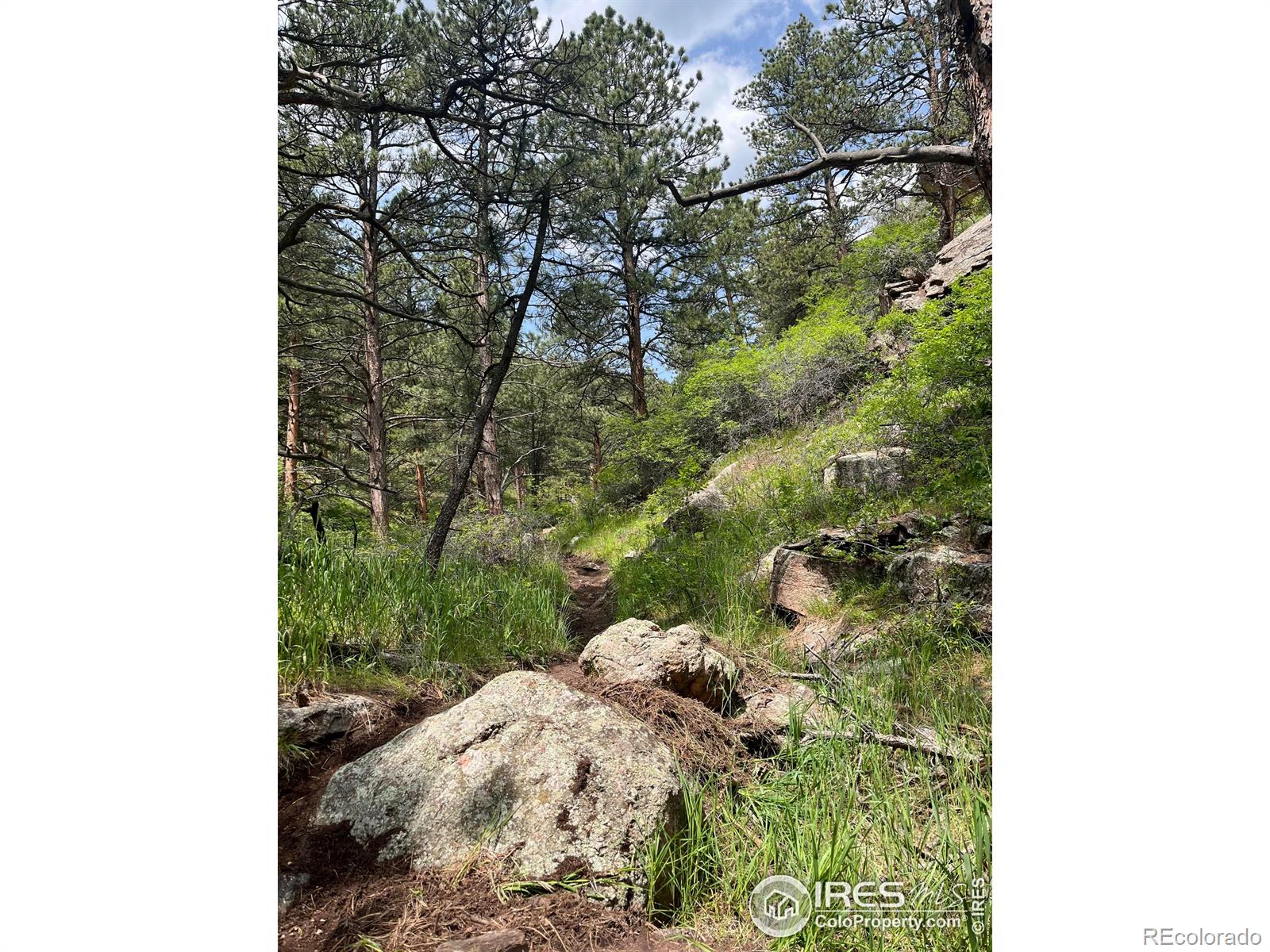 MLS Image #37 for 1946  lefthand canyon drive,boulder, Colorado