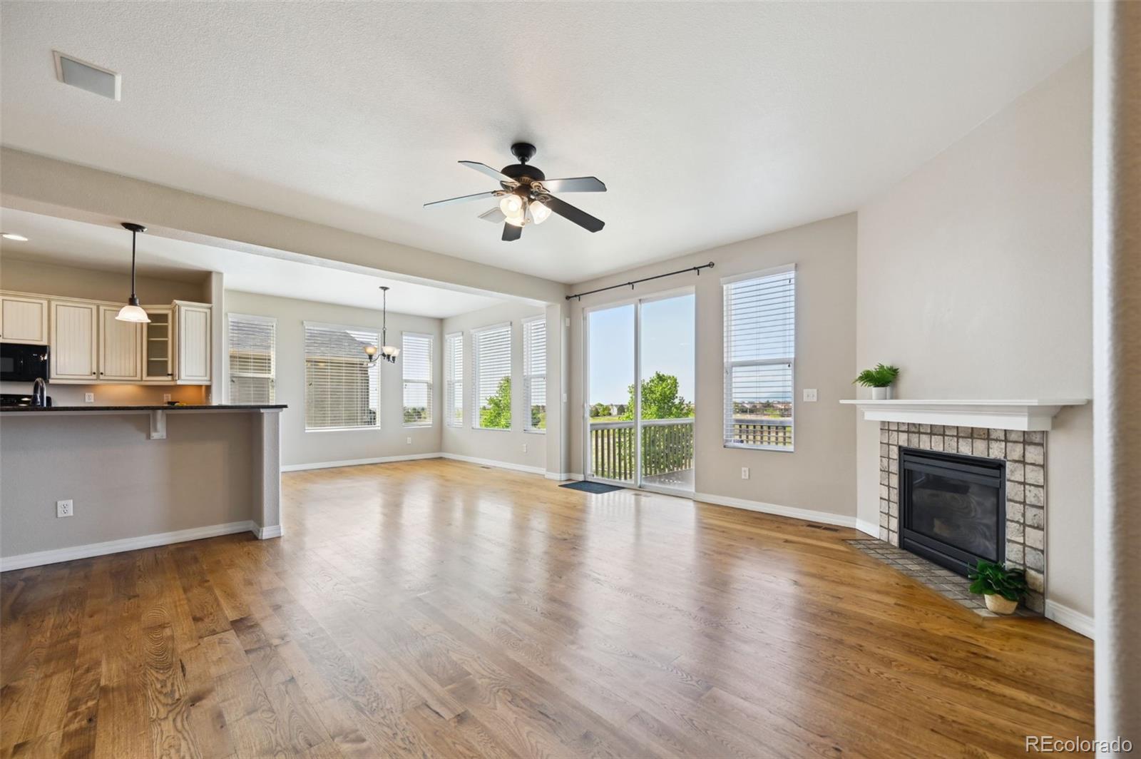 MLS Image #8 for 10402  capital peak way,peyton, Colorado