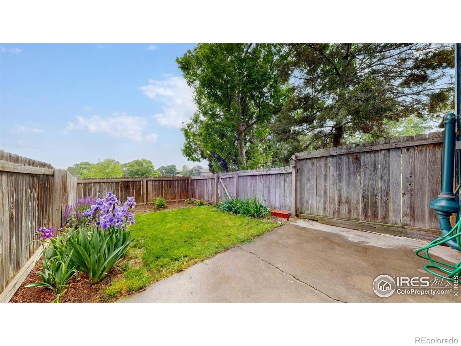 MLS Image #18 for 3632  butternut drive,loveland, Colorado