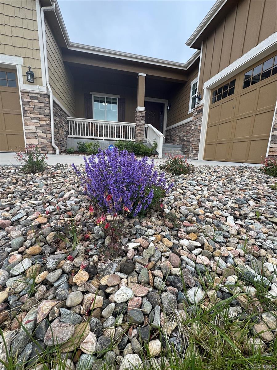 MLS Image #5 for 3855  old oaks street,castle rock, Colorado