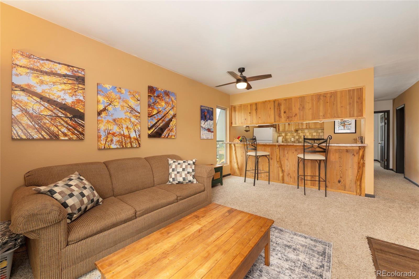 MLS Image #7 for 397  county road 834 ,fraser, Colorado
